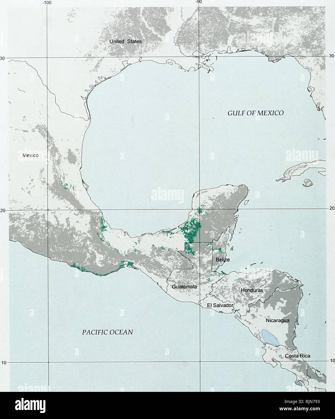 . Il bambù la biodiversità : Africa, del Madagascar e delle Americhe. Bambù; biodiversità; bambù; biodiversità; Bamboe; Rotan; Biodiversiteit; Bambusgewa?chse; bambù; diversità biologica; LA CONSERVAZIONE DELLA NATURA; mappe; Africa; Madagascar; Americhe. La biodiversità di bambù. Oceano pacifico 200 400 600 800 km Mappa 3.32. Distribuzione di potenziale di Guadua longifolia Native: entro la copertura forestale esistenti di copertura forestale con nessun record di Guadua longifolia 74. Si prega di notare che queste immagini vengono estratte dalla pagina sottoposta a scansione di immagini che possono essere state migliorate digitalmente per la leggibilità - Colorazione e aspetto di questi ho Foto Stock