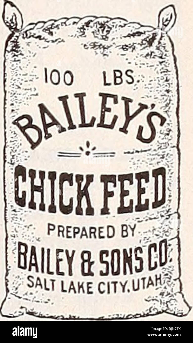 . Bailey's semi bulbi arbusti a base di carni di pollame. . Â ¢ sviluppare;, &AMP; Scratch .;| se preparato da' &gt;Â£ MEYftSOHS'C? Y.^TUKECITY.UlA";! Lal*: . sag Bailey's sviluppo di scratch necessaria alimentazione da tutti chicksâto crescente da Ted lungo con Bailey's latticello crescente mash. Una corretta miscelazione di grani di scratch, completamente ri-clean- ed e proporzionato per il corretto sviluppo della coltivazione di pulcini. Alimentazione fino le pollastre sono grandi abbastanza per grani di scratch. 100 libbre, prezzo di mercato MAKER-LA MESCOLANZA DI UOVO rende galline layâthe più com- reparti produttore di uova offerto nel paese Inter-Mountain dovunque vicino Foto Stock