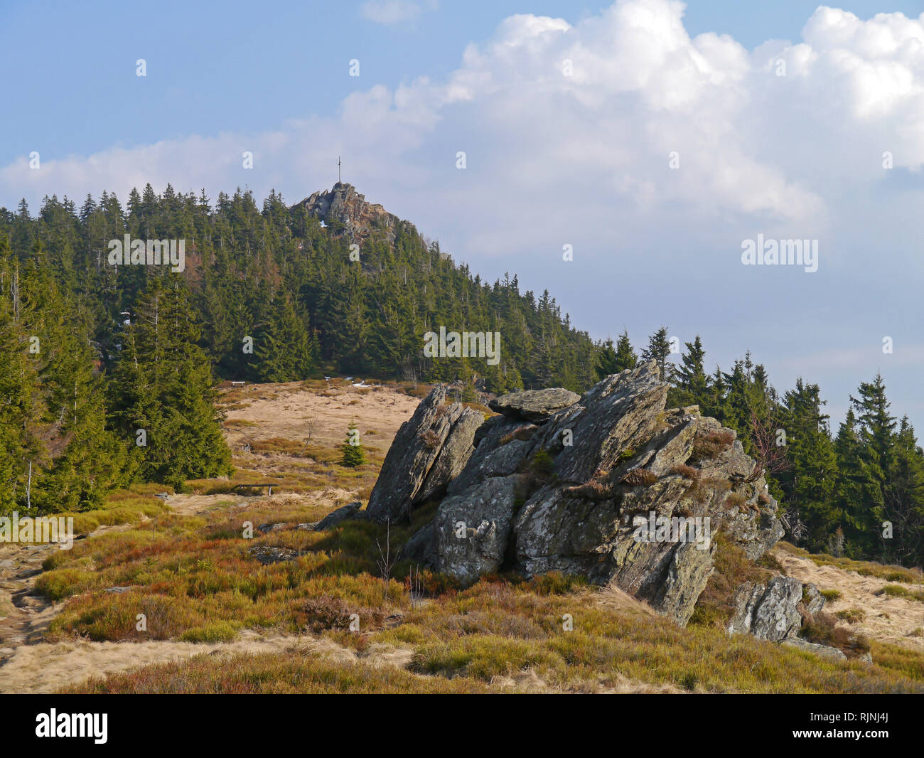 Osser, sulle montagne della Foresta Bavarese, Germania Foto Stock