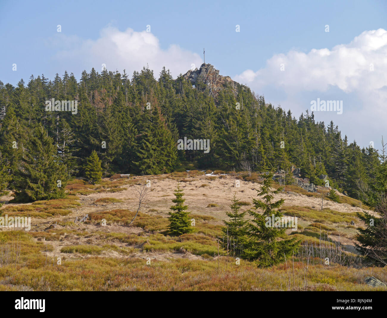 Osser, sulle montagne della Foresta Bavarese, Germania Foto Stock