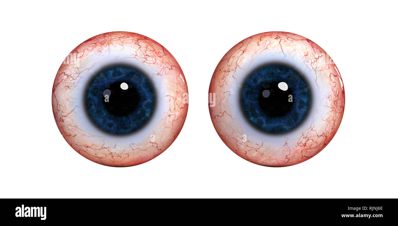 Due realistico occhio umano le sfere con iris blu, isolato su sfondo bianco (3d rendering) Foto Stock