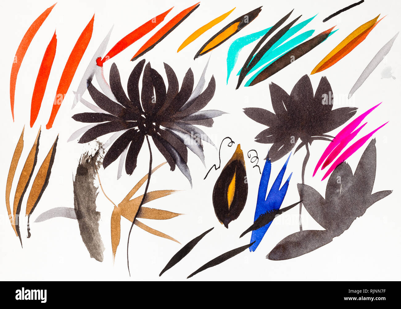 Disegno di formazione in sumi-e (suibokuga) stile - i tratti di pennello a forma di foglie e fiori di crisantemo da acquerelli su carta bianca Foto Stock
