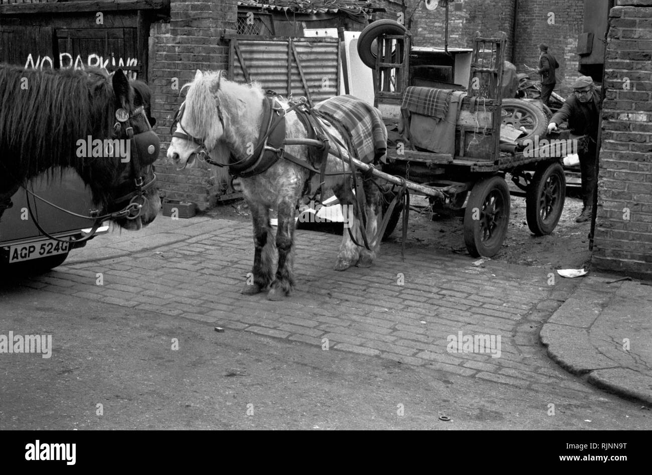 Rag e osso gli uomini presso il cantiere totters, scarico roba raccolti durante il giorno. I loro cavalli erano di solito stabulati presso il cantiere. Il suo cavallo e carrello. Notting Hill area del West London 1970. La raccolta dei rottami di riciclaggio di riutilizzazione degli anni settanta UK. HOMER SYKES Foto Stock