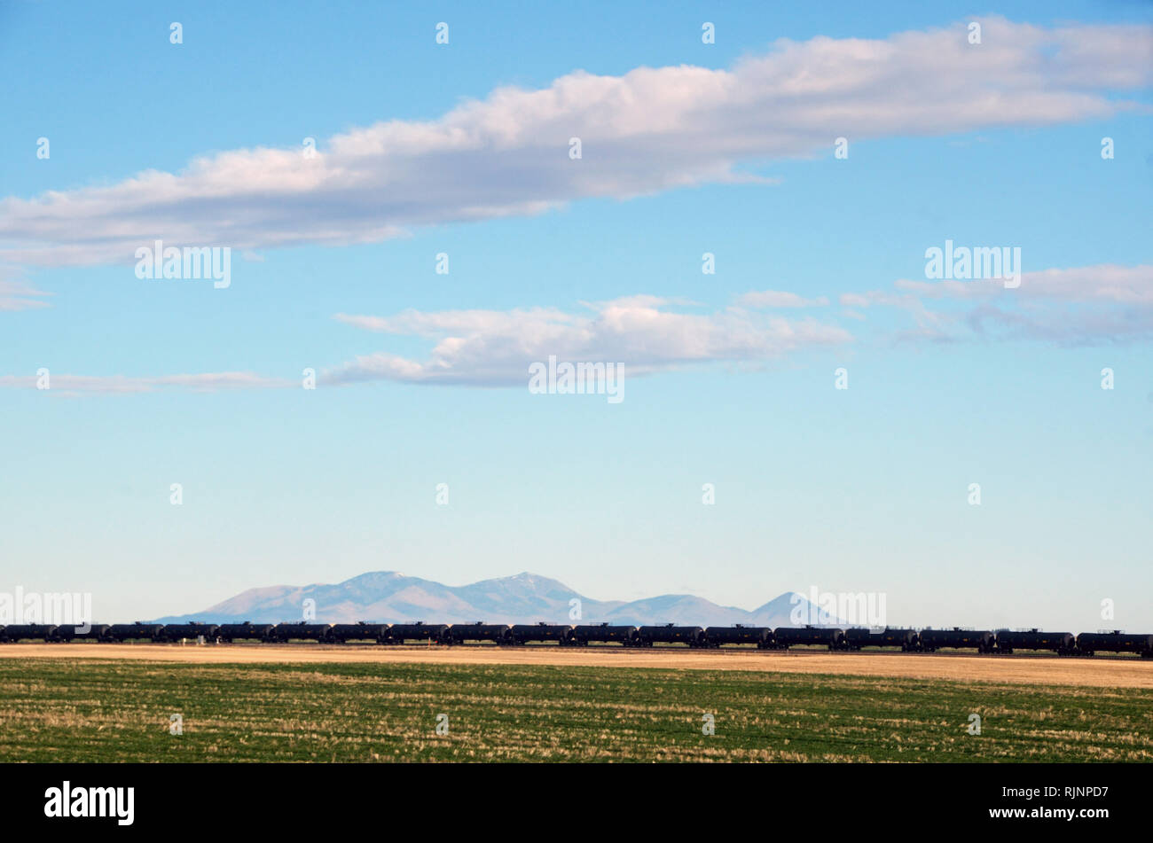 Serbatoio olio auto su un BNSF treno che viaggia attraverso le grandi pianure del Montana con le colline Sweetgrass in background. Foto Stock