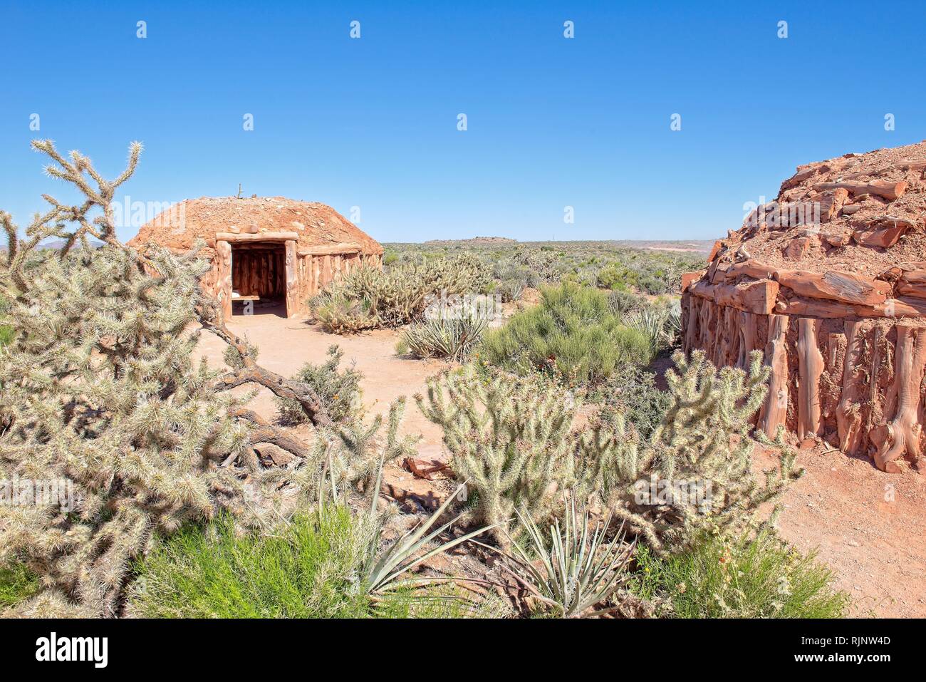 Capanne di fango sedersi sulla terra della prateria tra fiori di cactus al Hualapai prenotazione Grand Canyon South Rim Foto Stock