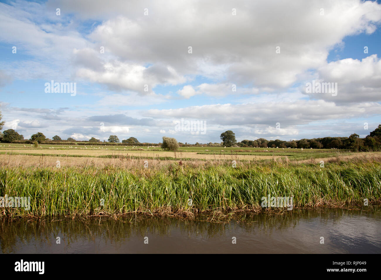 Visualizzare attraverso i campi di un paesaggio rurale il Montgomery Canal vicino abbassare Frankton Ellesmere Shropshire Inghilterra Foto Stock