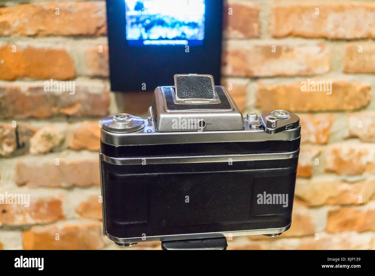 Pentacon 6 fotocamera, la solidarietà europea centro museo, Plac Solidarności, Danzica, Polonia Foto Stock