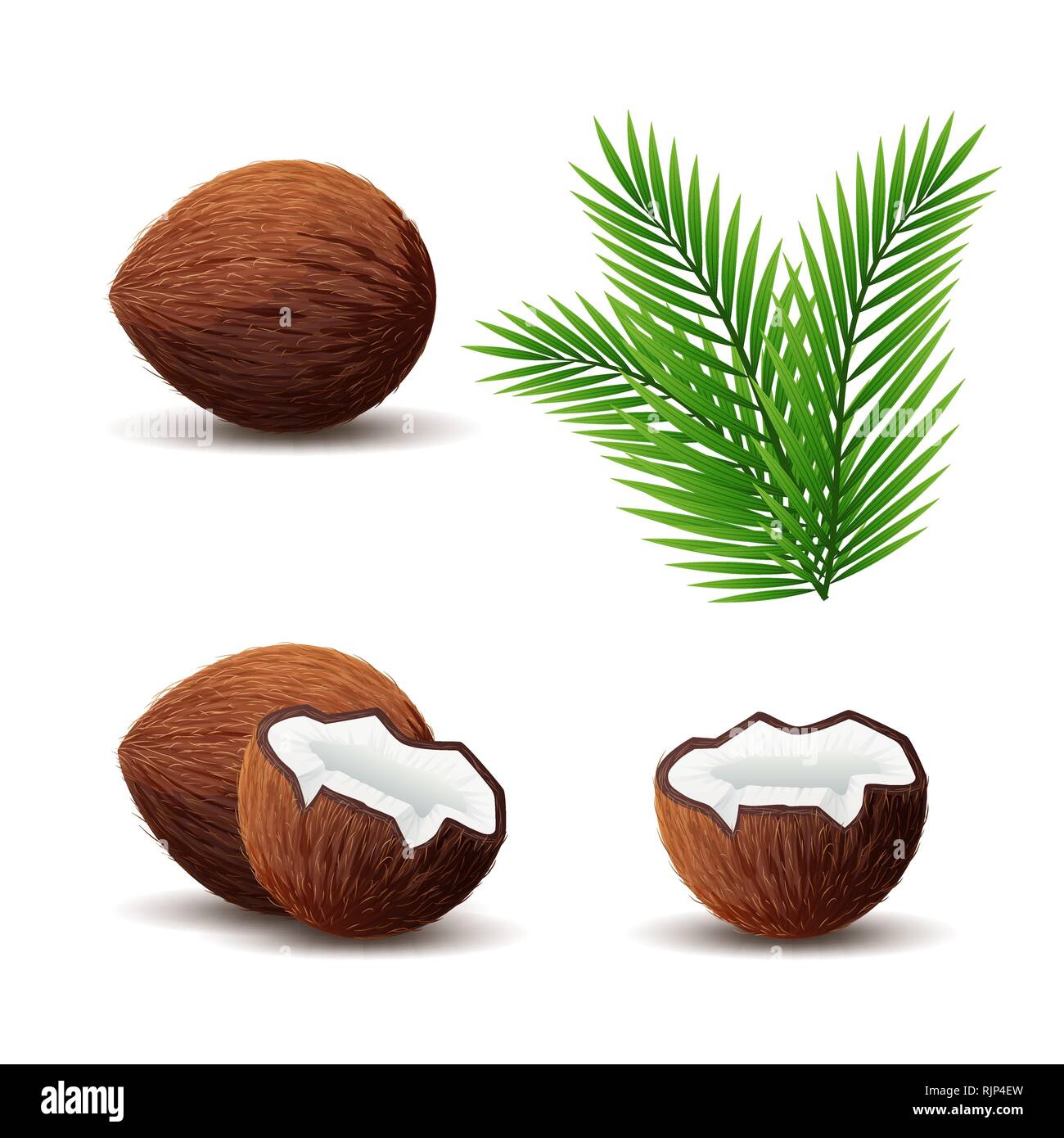 Set di icona di noce di cocco, rotte di cocco e foglie isolato Illustrazione Vettoriale