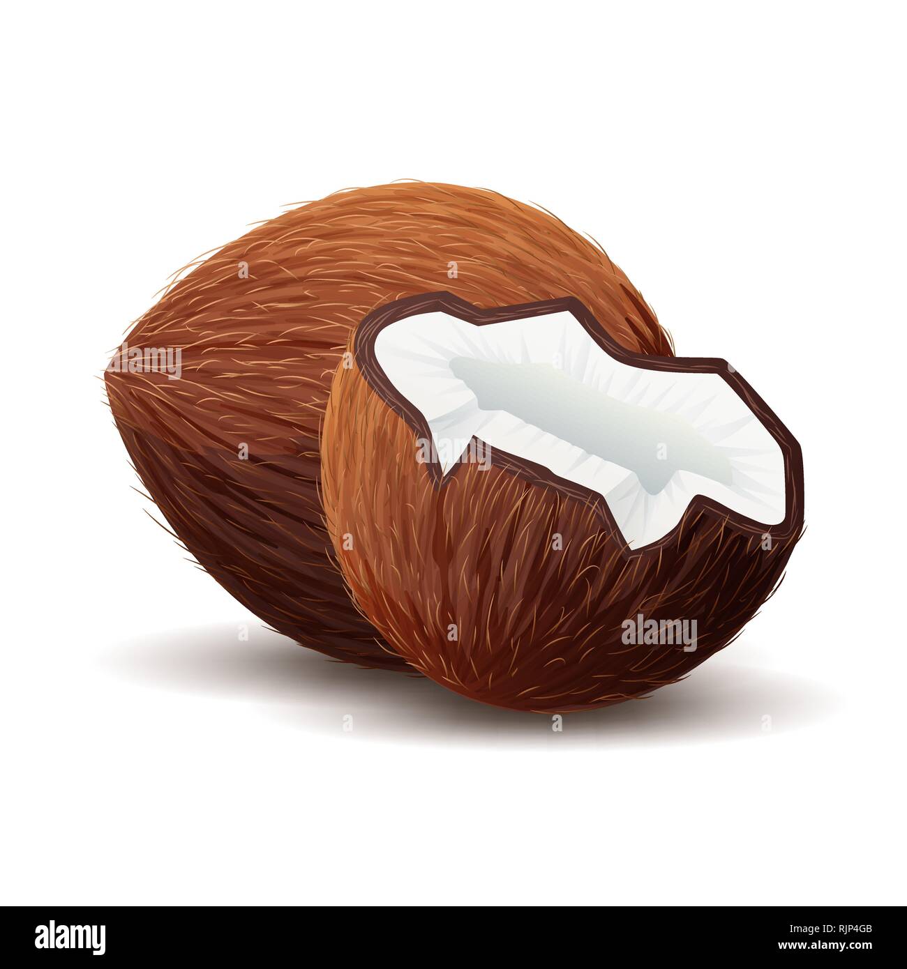 Icona di noce di cocco, rotto isolato di noce di cocco in bianco Illustrazione Vettoriale