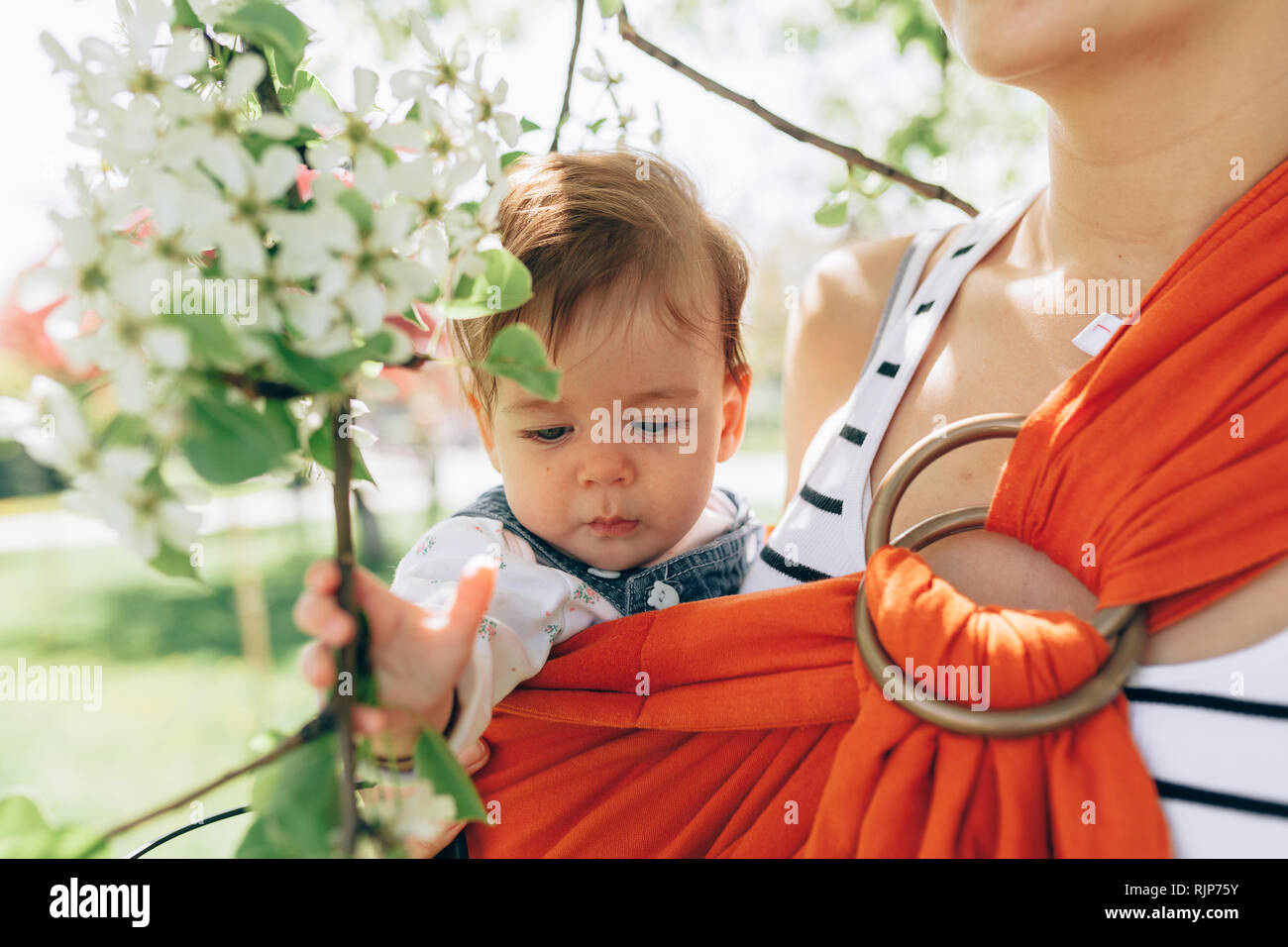 Madre trasportare un neonato Bambino in wrap sling nel parco. La primavera. Concetto di parenting naturale Happy family concept a molla Foto Stock