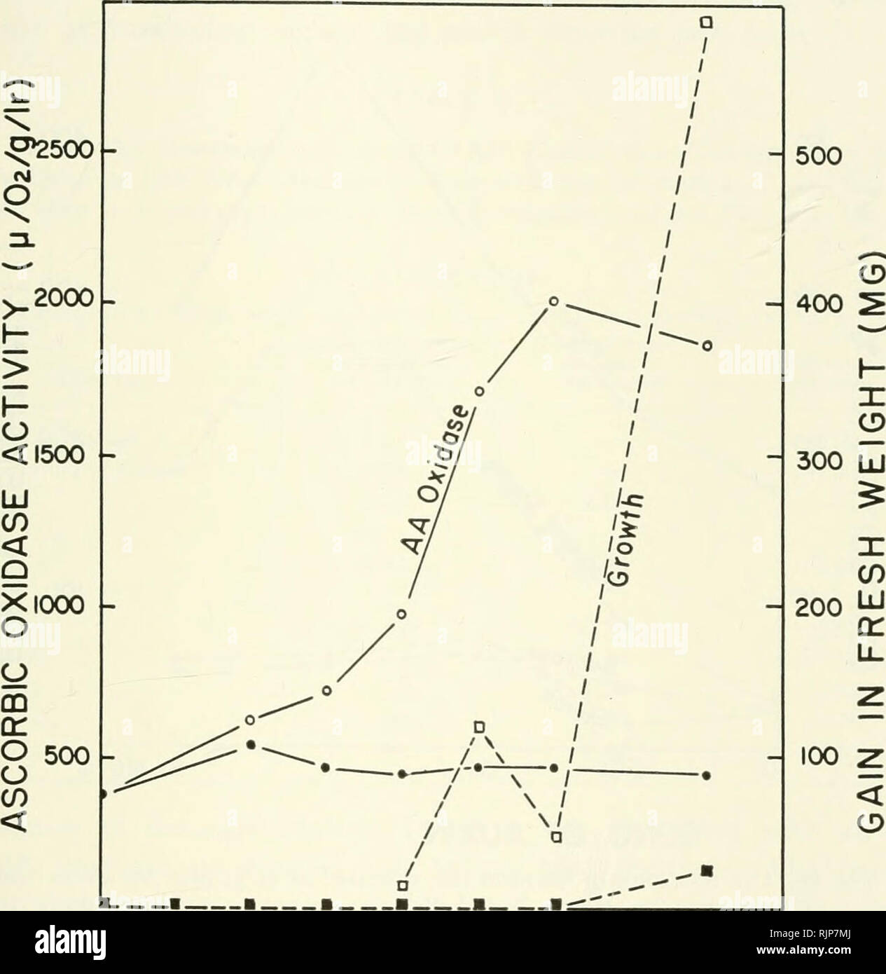. Le auxine e la crescita di pianta. Auxin; la crescita della pianta la promozione di sostanze. Fisiologica ed effetti anatomica 131 sario per la respirazione completa di acido piruvico a biossido di carbonio sono stati testati per la sensibilità di auxina (prezzo et al, inediti). Inter- estingly abbastanza, essenzialmente nessuna risposta per le auxine è stata ottenuta. Questo suggerisce che la eflEect di auxina sulla respirazione può non essere attraverso un effetto sugli enzimi coinvolti nel metabolismo di piruvato. Questa osservazione è stata utilizzata come supporto indiretto per l'ipotesi che l'auxina agisce principalmente attraverso un fosfato sistema di trasferimento (Bonner e Bandu Foto Stock