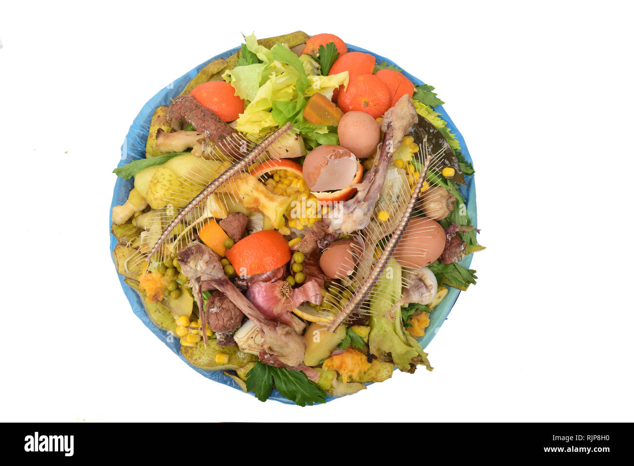 Il riciclaggio per il compost frutti, vegetagles, pesce, uova e ossa Foto Stock