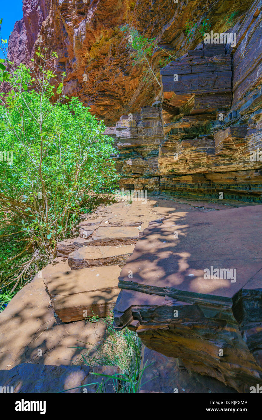 Escursionismo a piscina circolare in dales gorge, Karijini National Park, Australia occidentale Foto Stock