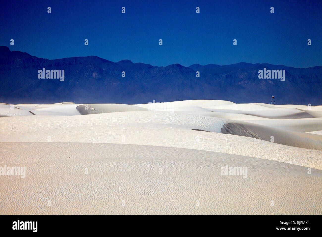 Le dune di sabbia in White Sands National Monument, Nuovo Messico, STATI UNITI D'AMERICA Foto Stock