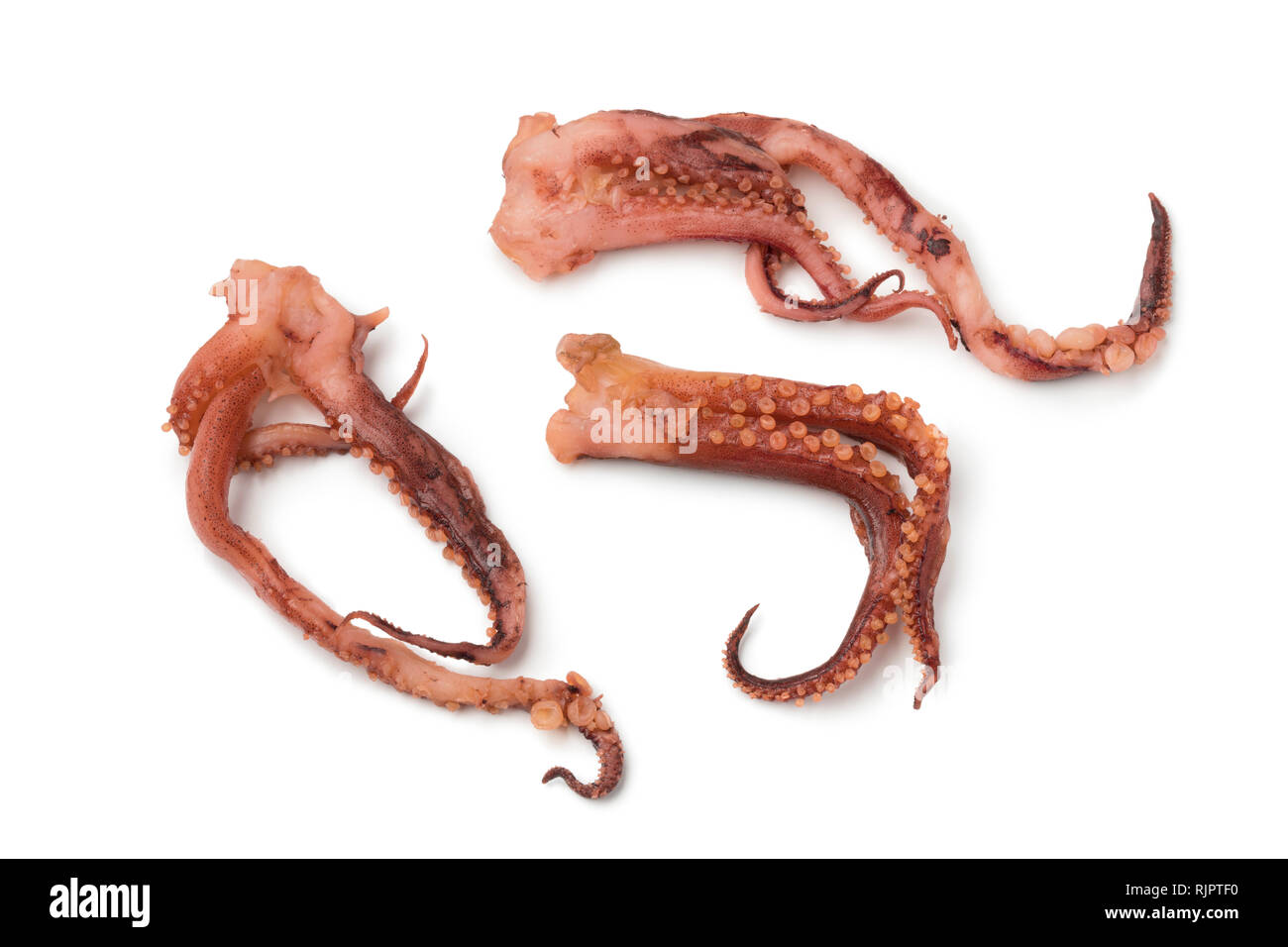 Giapponese calamari secchi tenctacles con sapore di aceto isolati su sfondo bianco Foto Stock