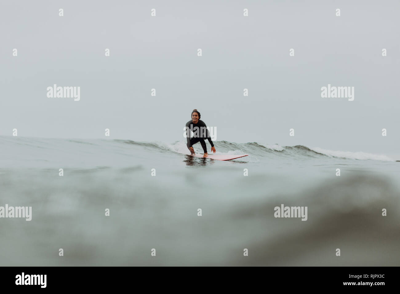 Giovani femmine surfer surf sulle misty mare calmo, Ventura, CALIFORNIA, STATI UNITI D'AMERICA Foto Stock
