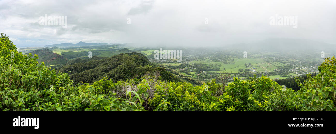 Una fitta foresta, Kuilau Ridge Trail, Kauai, Hawaii Foto Stock