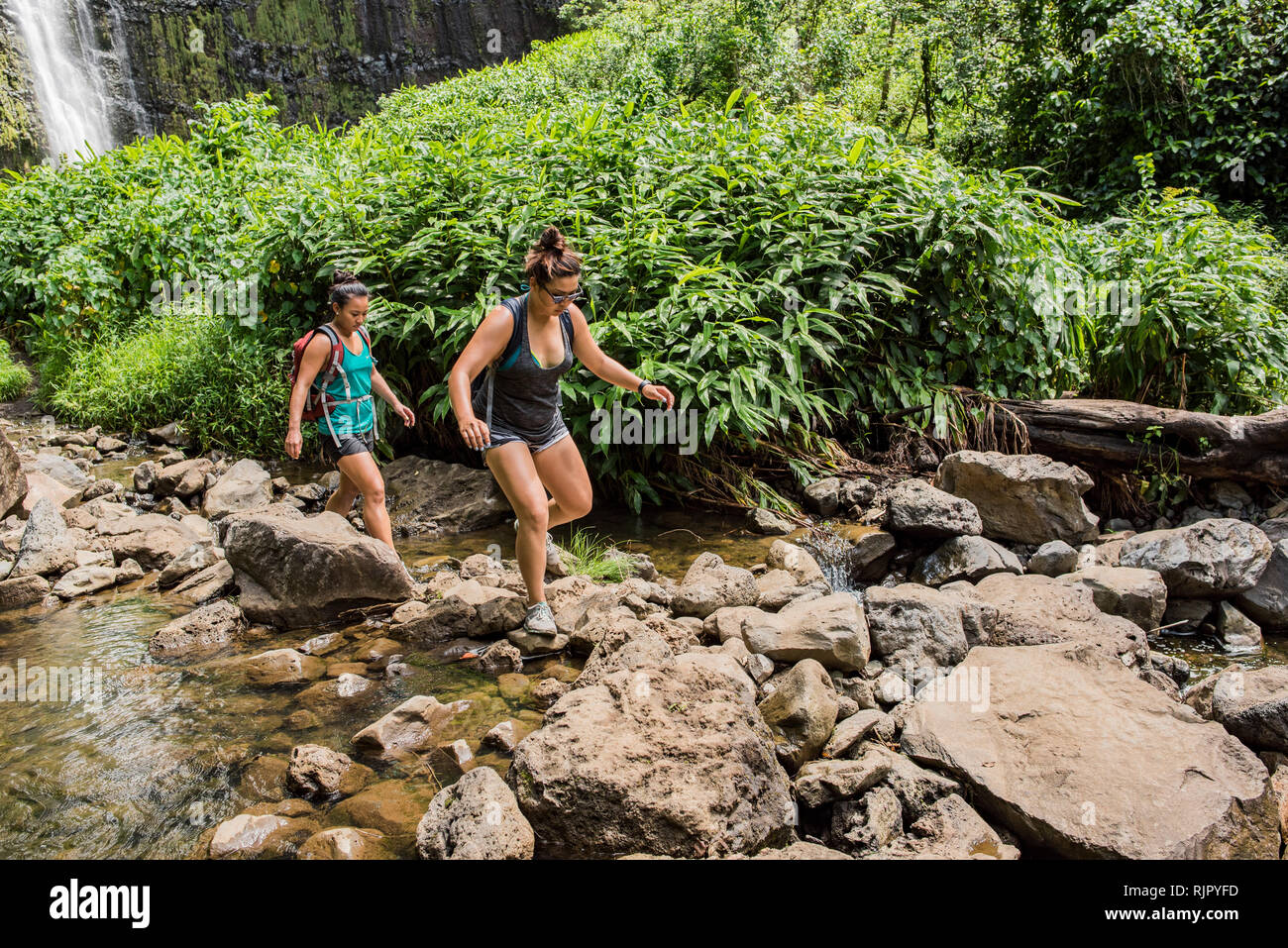 Gli escursionisti flusso di attraversamento, Waipipi Trail, Maui, Hawaii Foto Stock
