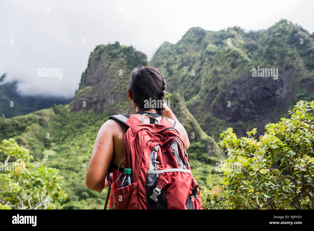 Escursionista di fermarsi per godersi la foresta pluviale, Iao Valley, Maui, Hawaii Foto Stock