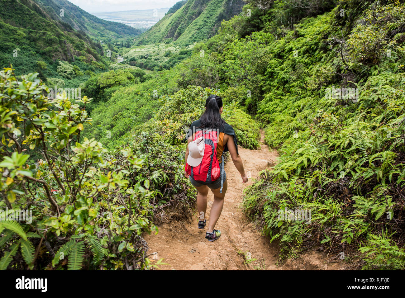 Gli escursionisti a piedi nella foresta pluviale, Iao Valley, Maui, Hawaii Foto Stock