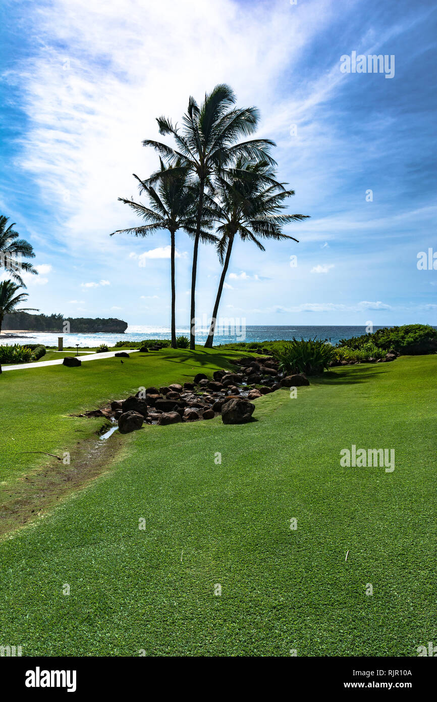 Palme Keoniloa Bay, Kauai, Hawaii Foto Stock