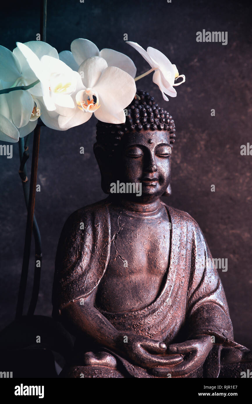 Buddha in meditazione con orchidea su sfondo scuro Foto Stock
