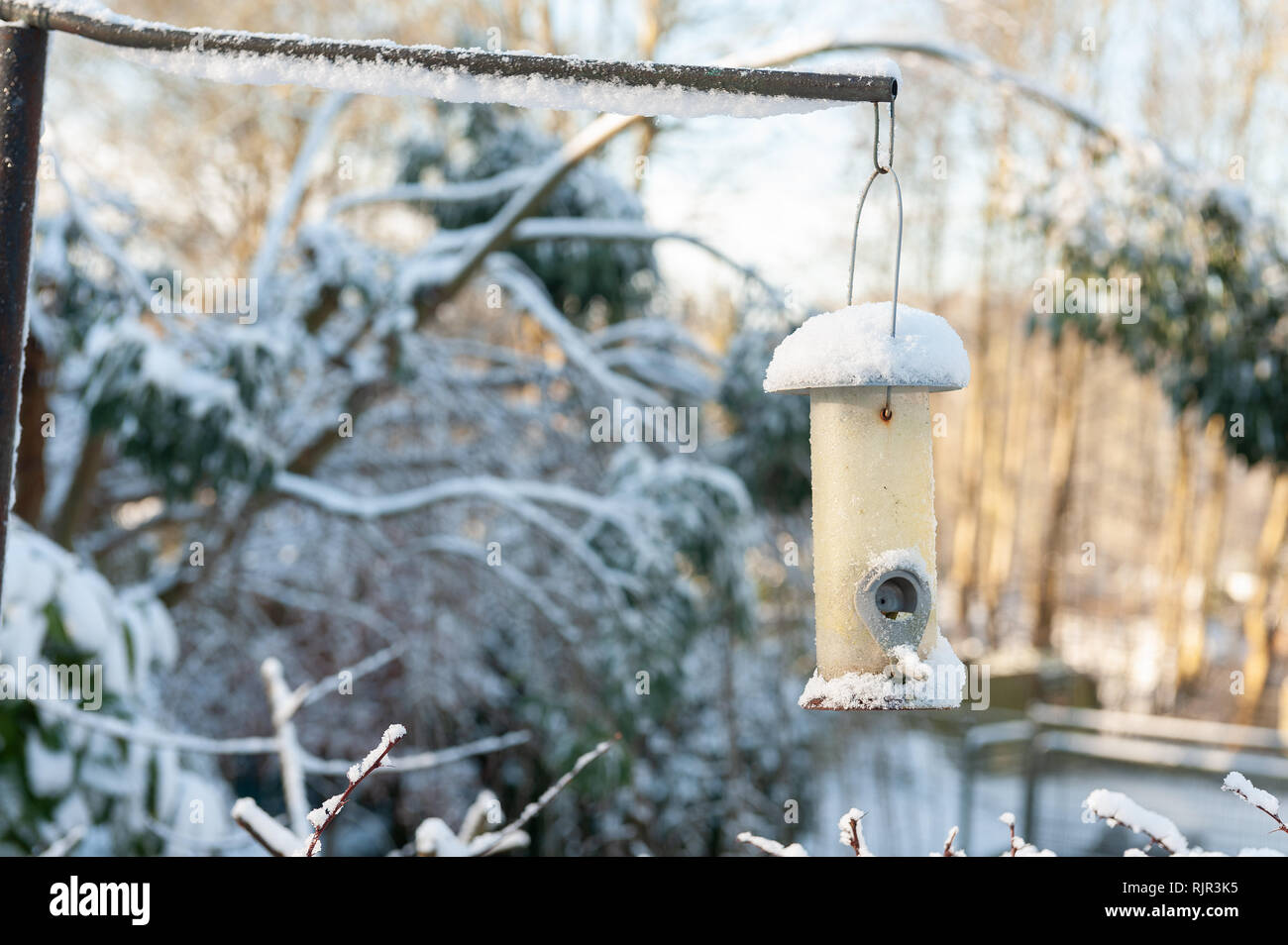 Duro inverno e la caduta di neve con un vuoto di bird feeder coperto di neve spesso un segno di tempi duri per l'alimentazione di uccelli quando il cibo è difficile da trovare Foto Stock