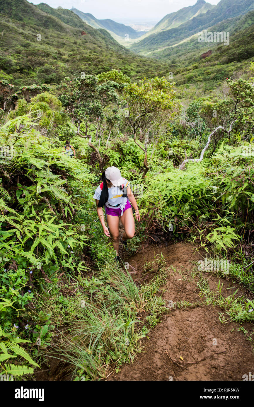 Gli escursionisti a piedi nella foresta pluviale, Moanalua Valley Trail, Oahu, Hawaii Foto Stock