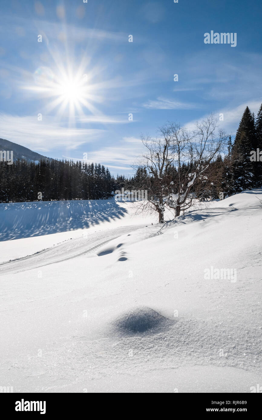 Sci di fondo via sentiero in coperta di neve holiday resort Hohentauern con un bel sole in inverno Foto Stock