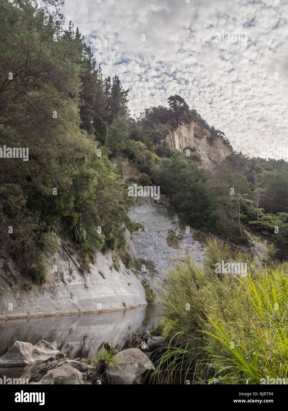 Foresta rivestito di bush creste e scogliere si ergono al di sopra del flusso Ahuahu, Whanganui River North Island, Nuova Zelanda Foto Stock
