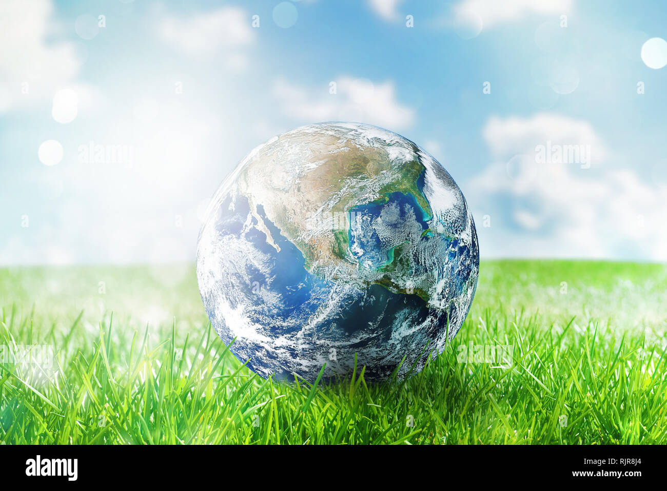 Globo terrestre in un verde campo incontaminate. Mondo fornite dalla NASA Foto Stock