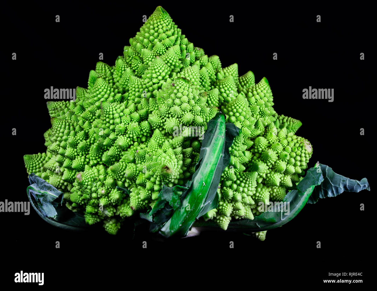 Roman broccoli isolati su sfondo nero Foto Stock