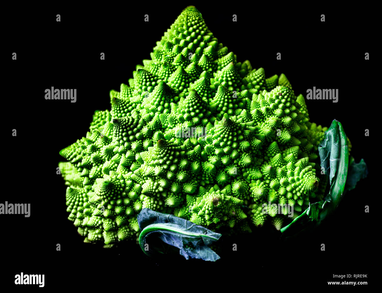 Roman broccoli isolati su sfondo nero Foto Stock