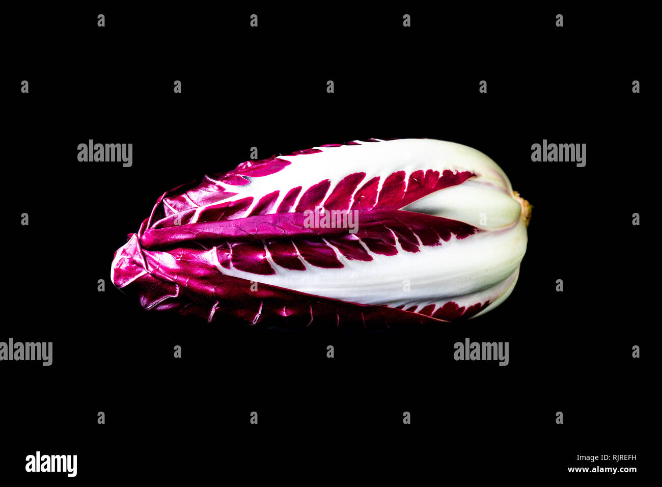 Il Radicchio di Treviso isolati su sfondo nero. bella viola insalata colorata, la fotografia macro Foto Stock
