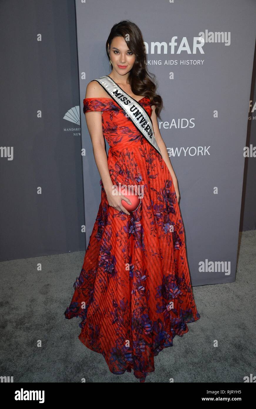 New York, NY, STATI UNITI D'AMERICA. 6 febbraio, 2019. Catriona grigio presso gli arrivi per amfAR New York Gala, Cipriani Wall Street, New York, NY Febbraio 6, 2019. Credito: Kristin Callahan/Everett raccolta/Alamy Live News Foto Stock