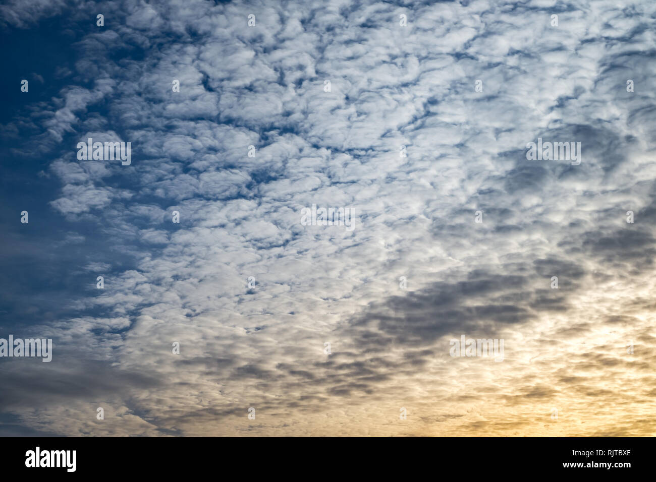 Cielo azzurro sfondo con piccolissima parentesi nuvole in serata. Cancellazione di giorno e buon tempo ventoso Foto Stock