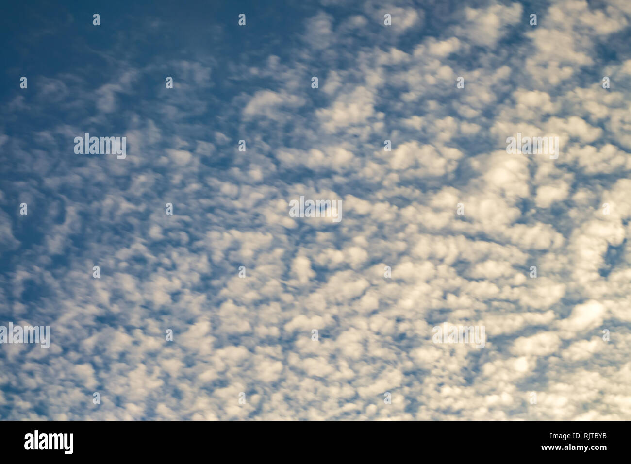 Cielo azzurro sfondo con piccolissima parentesi nuvole in serata. Cancellazione di giorno e buon tempo ventoso Foto Stock