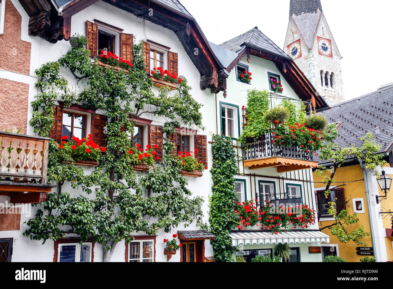 Ul house con fiore di Hallstatt, Austria, Salzkammergut Foto Stock
