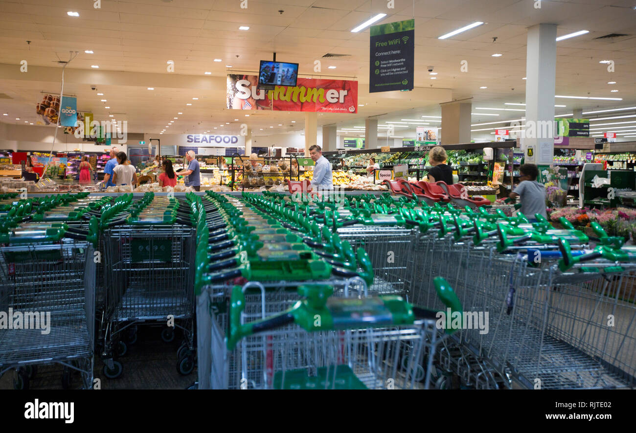 Interno del supermercato moderno con righe di carrelli in primo piano e gli acquirenti serpeggianti tra negozi di generi alimentari Foto Stock