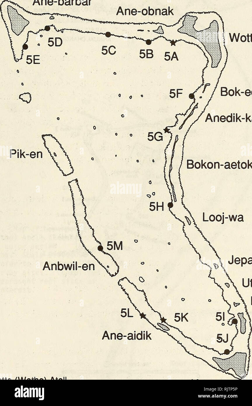 . Atollo bollettino ricerche. Le barriere coralline e le isole; biologia marina; scienze marine. 47 N 4 Ane-barbar Majur-vinto obnak pik-en Wotto 5F ^J ho Bok-ed Anedik-kan Bokon-aetok. Anbwil-en 5L Ane-aidik Jepan-ao Utiej Irooj-emmaan Ane-jalto Fig 22. Wotto (Wotho) atollo. I numeri indicano marine siti di indagine. Stelle mostrano reef siti di particolare interesse. Scala: 1" = 2.058 mi. Kapen. Si prega di notare che queste immagini vengono estratte dalla pagina sottoposta a scansione di immagini che possono essere state migliorate digitalmente per la leggibilità - Colorazione e aspetto di queste illustrazioni potrebbero non perfettamente assomigliano al lavoro originale. Foto Stock