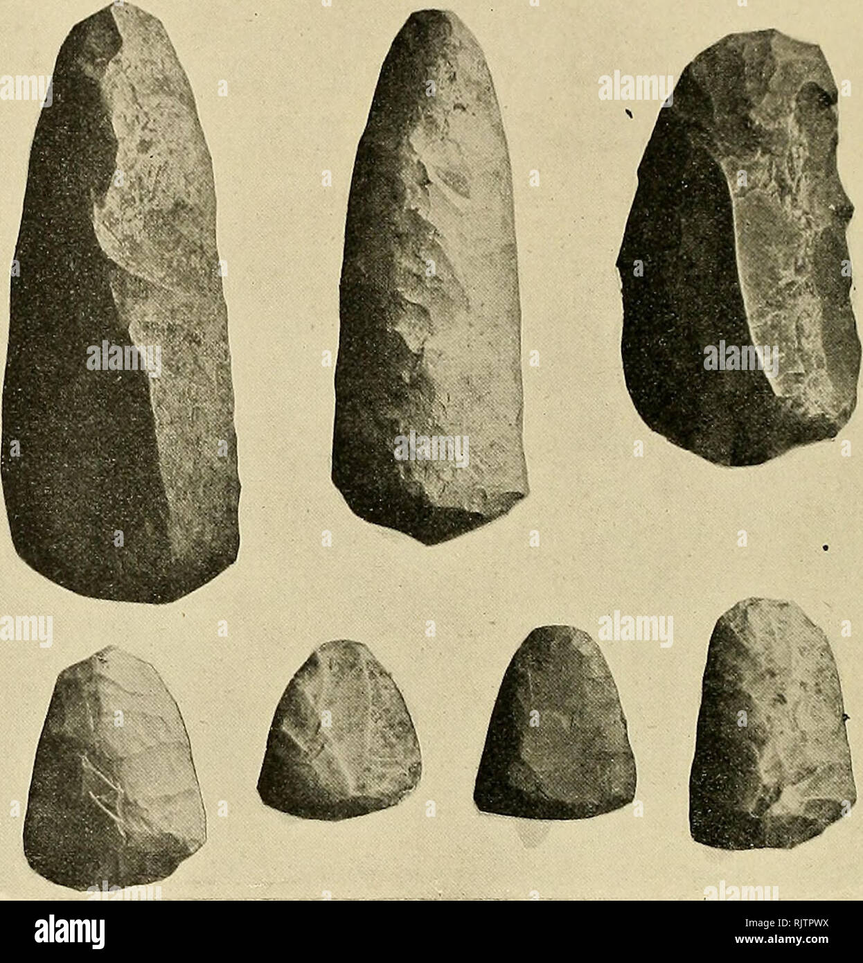 . Biblioteca Augustana pubblicazioni. Gli scandinavi. I raschiatori 32.. Fig. 11. Tj'pical raschiatori. Dimensione naturale. Il metodo di fabbricazione di questo strumento sembra avere de- termined la sua forma. È sempre un fiocco con un lato piatto che non mostri segni di scheggiatura. Su questo lato è stato evidentemente staccato da un pezzo più grande di chert. Poi i bordi sono stati rifilati e raddrizzato dal piccolo sfaldamento sull'esterno bordi convessi. Questo è stato il modo più semplice e veloce di realizzare un attrezzo orlato da chert. Alcuni fiocchi sono stati messi in servizio senza qualsiasi cosa di finitura- sempre, come è evidente dalla loro indossato unchipped bordi.. Si prega di notare t Foto Stock