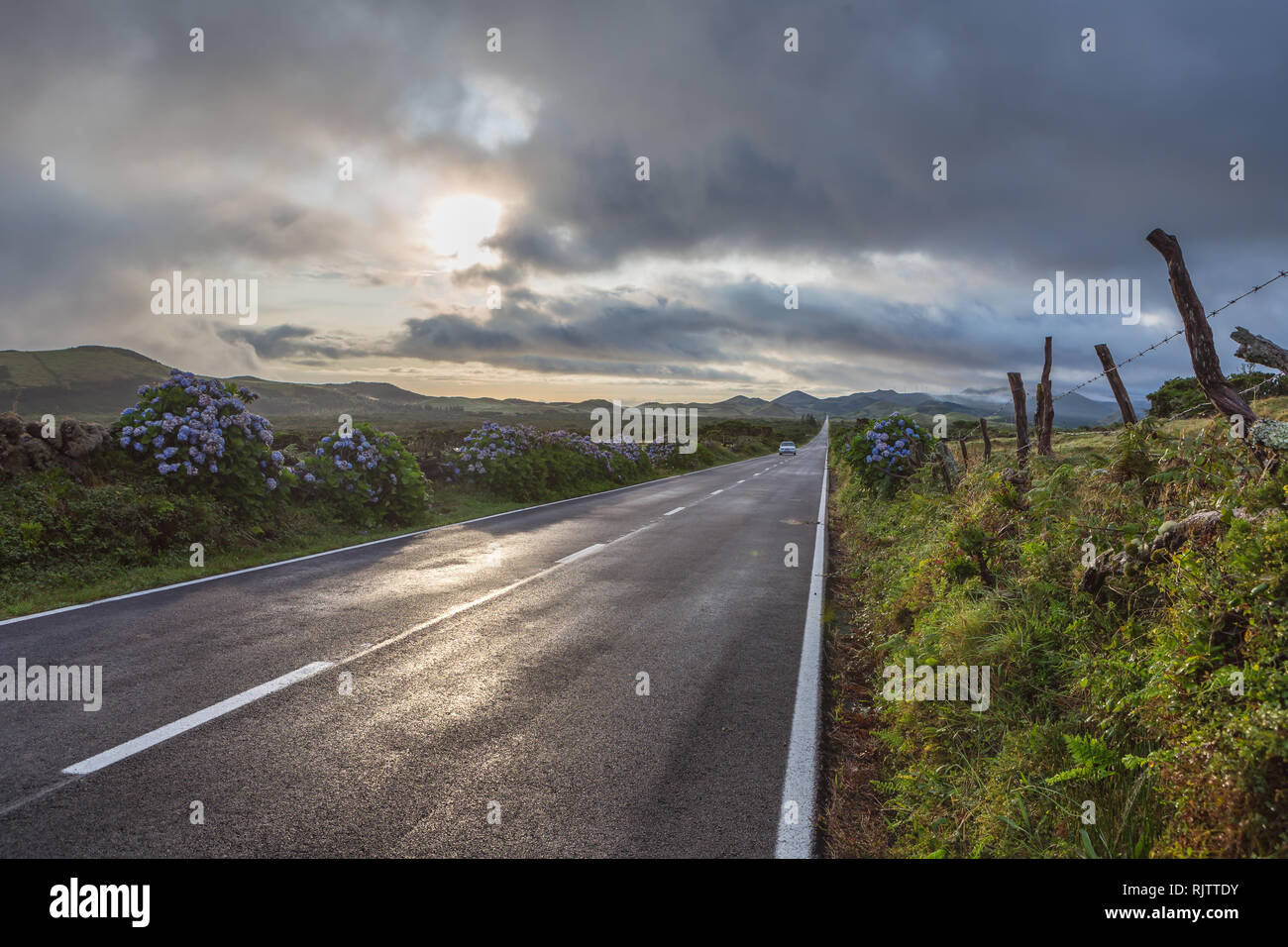 Un vuoto e strada solitaria. Isola di Pico, isole Azzorre, Portogallo Foto Stock