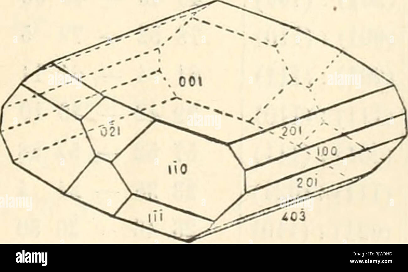 . Atti della Societtaliana di scienze naturali e del Museo civico di storia naturale di Milano. Storia naturale; storia naturale. SOPRA LA STRUTTURA una rimarchevole somiglianza, ecc. 119 Angoli Limiti delle osser azioni Osservazione media calcolato i N (001) :(403) 480 42' - 485 44 480 43 480 41' 2 (403) : (201) 0-18 18 14 18 8 18 1 ' 3 (201) : (100) - - 48 18 - (001): (HO) 78 50 - 79 20 79 7 * 25 (001) :(111) 61 8 - GÌ 28 61 16 61 19 3 (111) : (110) 39 18 - 39 28 39 23 39 34 3 (201): (111) 58 20 58 33 (IH): (021) - 22 58 22 54 (021) : (110) - 25 45 25 50 (110) : (201) 72 37 72 43 (HI): (100) - 82 47 Foto Stock