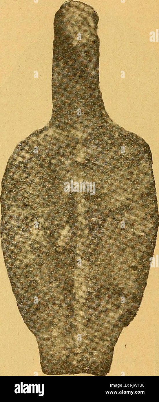 . Atti della società dei naturalisti e matematici di Modena. Â 112 â 9. Lamina quadrangolare di ferro, intensamente corrosa dal- l'ossido: ha in alto una borchia, laterale ed appartenne a penna onu- daglio con anima di legno (largh. cm, 6 â lungh. cm. 10). 10. Pendaglio di piombo a foglia, troncato all'apice, crenato ai margini, con costola mediana o grosso anello per la sospensione in alto (lungh. mm. 105 largh. mm. 39), {v.fig. lo).. Fig. 14. Â 1: 1. Fig. 15. Â 1:1. Per la fauna, oltre grande quantitÃ di ossa della specie ri- conosciute dallo Strobel e dallo Scarabelli cioÃ¨ Sus scropha ferus L Foto Stock