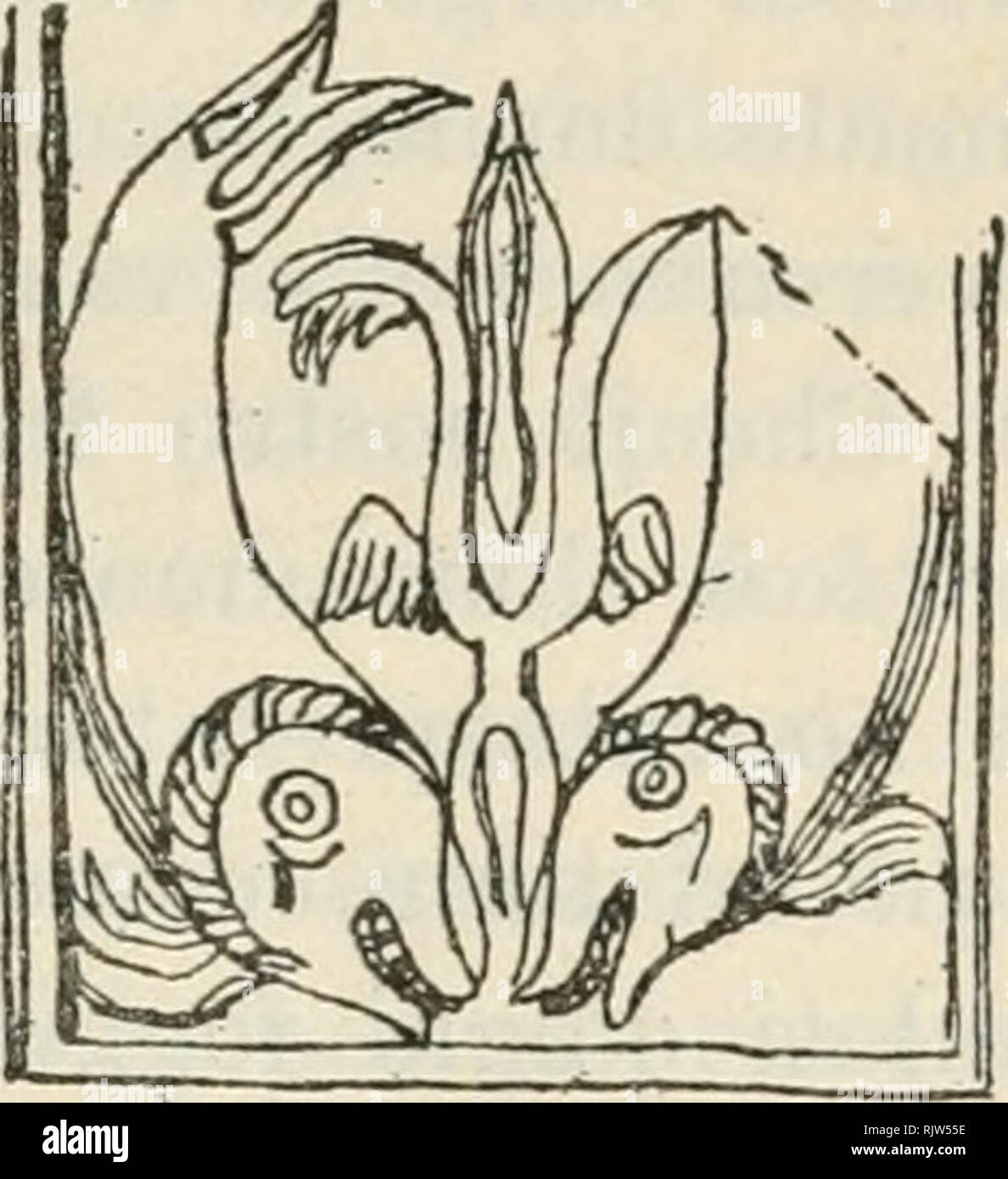 . Atti della Reale Accademia delle Scienze di Torino. IL PRIMITIVO BATTISTERO DI LUNI 385 i quali l'ancora accostata da dovuto pesci, e un terzo pesce isolato col suo nome IX@T2 inscritto nel campo ; la fig. 9 Ã¨ l'iscri- zione di un sarcofago del Museo del Louvre, che insieme con i simboli dell'Agnello e del Buon Pastore, inteine reca l'ancora e il pesce. TacerÃ² delle numerose iscrizioni sepolcrali e delle pitture delle catacombe romane, nelle quali compaiono, o isolati o ab- binati, gli stessi simboli causa (1). Nell'altra faccia del nostro frammento (Fig. 2) Ã¨ ripetuto il simbolo del pesce nel motivo Foto Stock