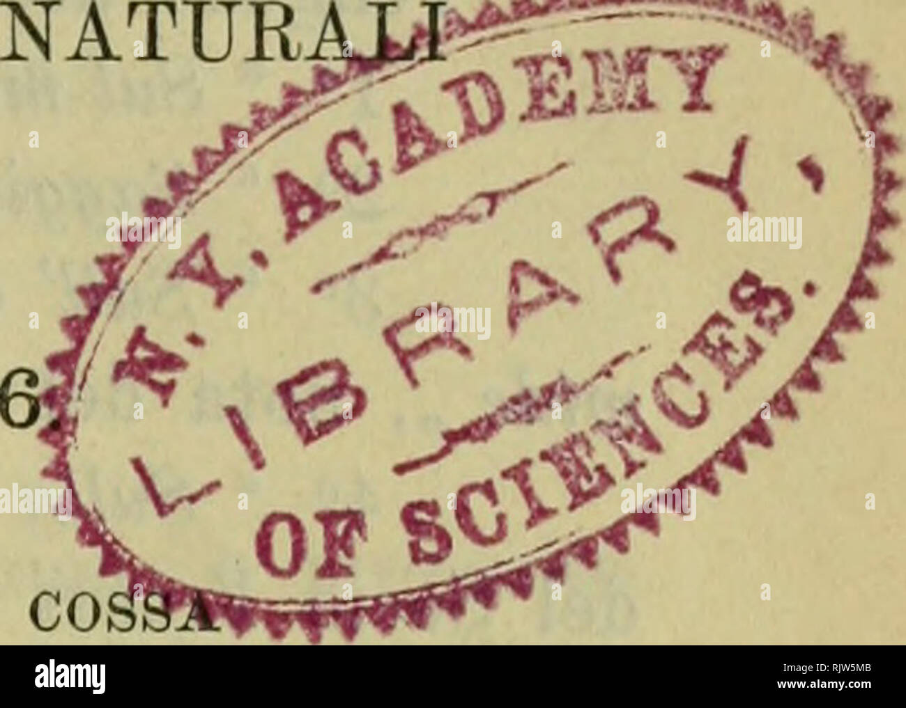 . Atti della Reale Accademia delle Scienze di Torino. CLASSE DI SCIENZE FISICHE, MATEMATICHE E NATUR ..^t^-^Ã©i'^f. Adunanza del 21 giugno 189 ItÃ¬ir.' PEESIDENZA DEL SOCIO PROF. ALFONSO CO VICE-PEESIDENTE DELL'ACCADEMIA. Sono presenti i socii: D'Ovidio, Direttore della classe, Bereuti, Bizzozero, Ferraris, mosso, La Spezia, Girelli, Giaco- mini, Camerano, Segre, Peano, Volterra, Jadanza, FoÃ , Gua- RESCHi e Naccari Segretario. Viene letto ed approvato il verbale dell'adunanza pre- cedente. Il Segretario dÃ notizia della nomina fatta da S. M. il Re dei prof. Camillo Guidi e Michele Fileti ad Acca Foto Stock