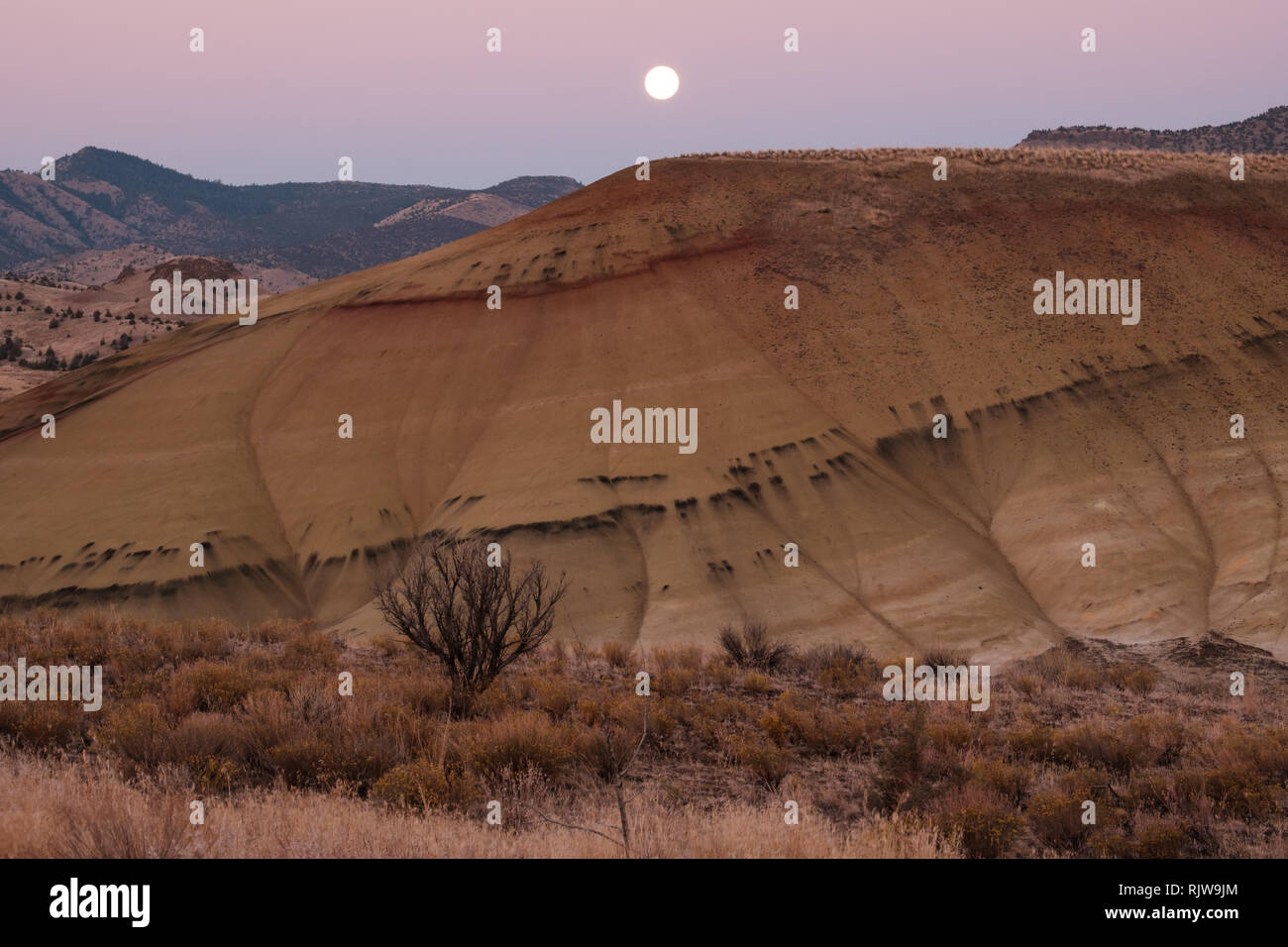 La mattina presto. Ora blu, Tramonto e luna a colline dipinte, John Day Fossil Beds vicino a Mitchell, Oregon Foto Stock