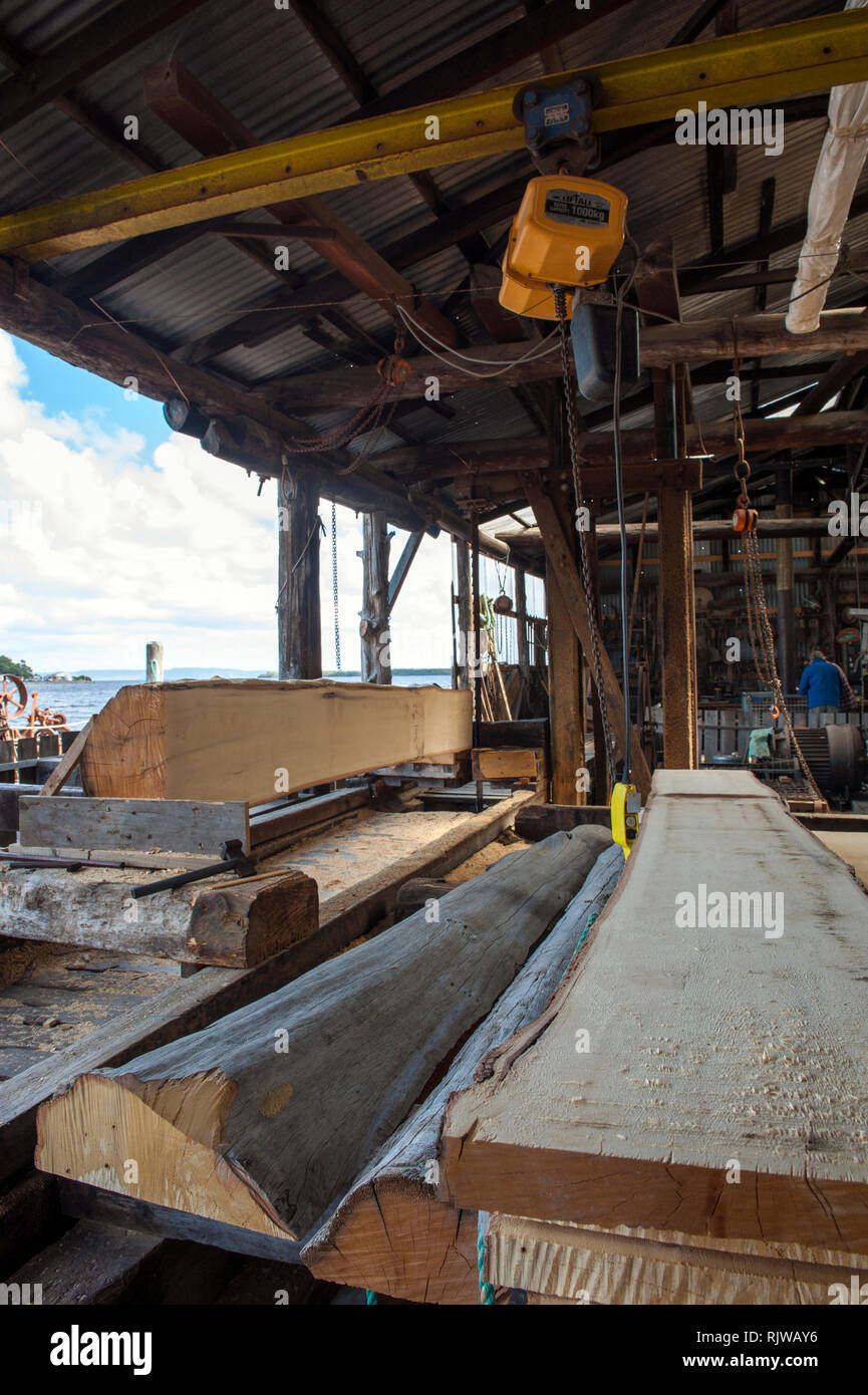 Lastre di recuperati huon pine attendere di essere macinato al deserto Woodworks, una specialità mulino di legname in Strahan, la Tasmania. La struttura ad albero è nativo di sud ovest Foto Stock