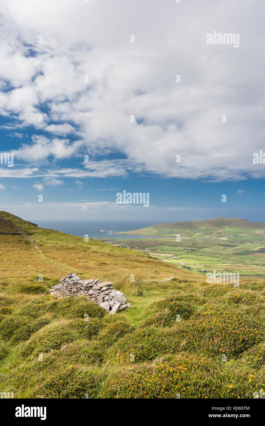 Vista sulle montagne, bog e brughiera del western Penisola di Dingle dal percorso a piedi sulla cima di Reenconnell, nella contea di Kerry, Irlanda Foto Stock
