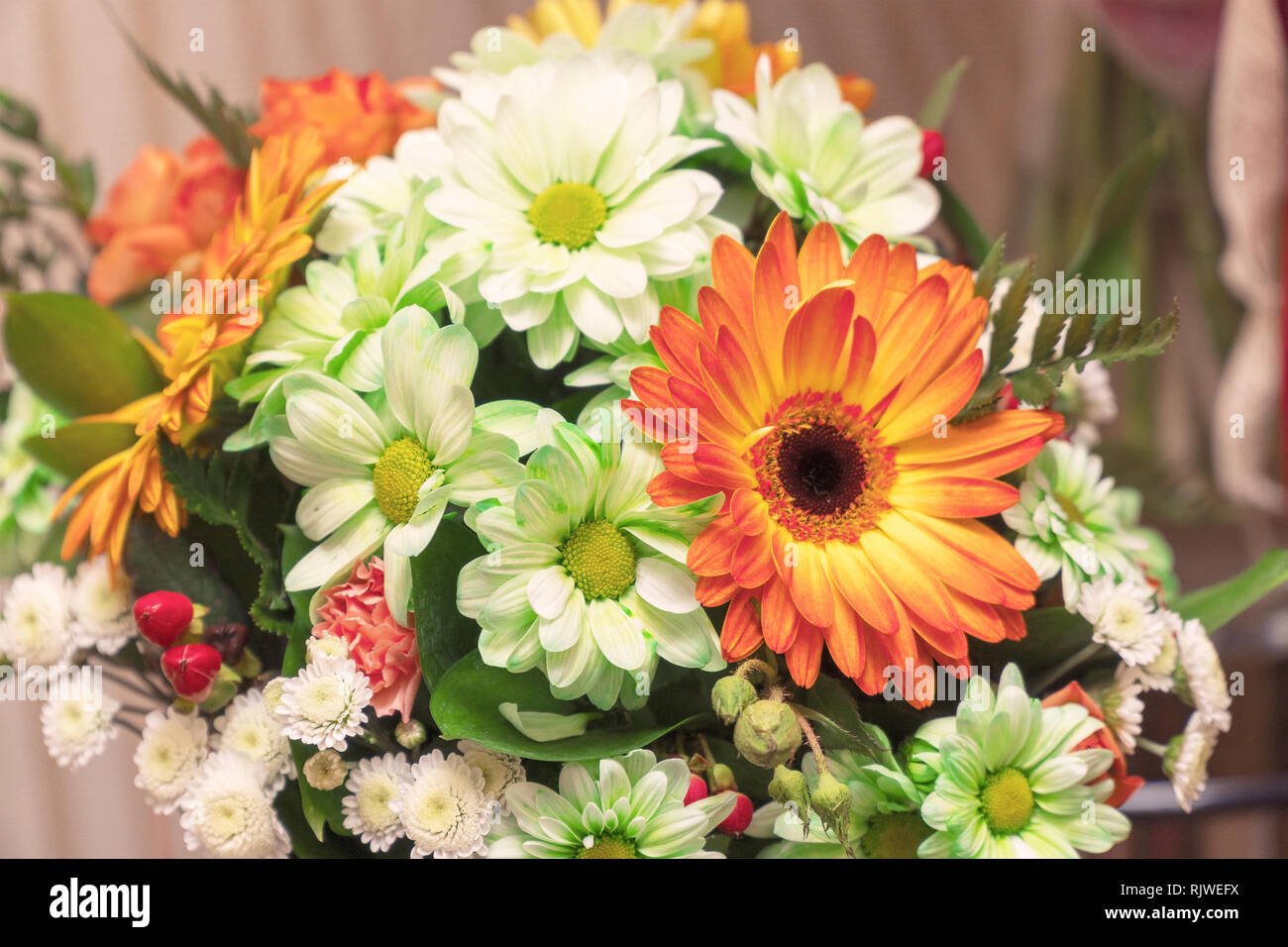 Bouquet di bianco e arancione gerbere. Decorativa arrangiamento floreale di differenti gerbere. Messa a fuoco selettiva Foto Stock